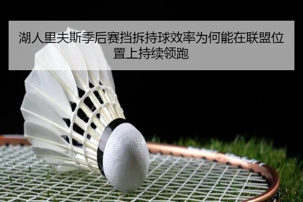 湖人里夫斯季后赛挡拆持球效率为何能在联盟位置上持续领跑 | kaiyun